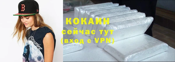 стаф Алексин
