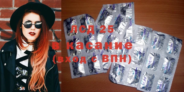 стаф Алексин
