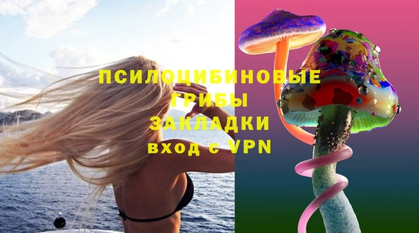 стаф Алексин