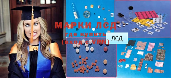 стаф Алексин