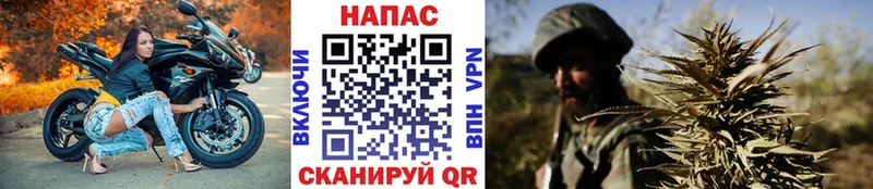 Бошки Шишки конопля Урай
